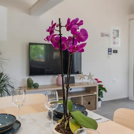 Eranthis Apartment Chania (Crete)
